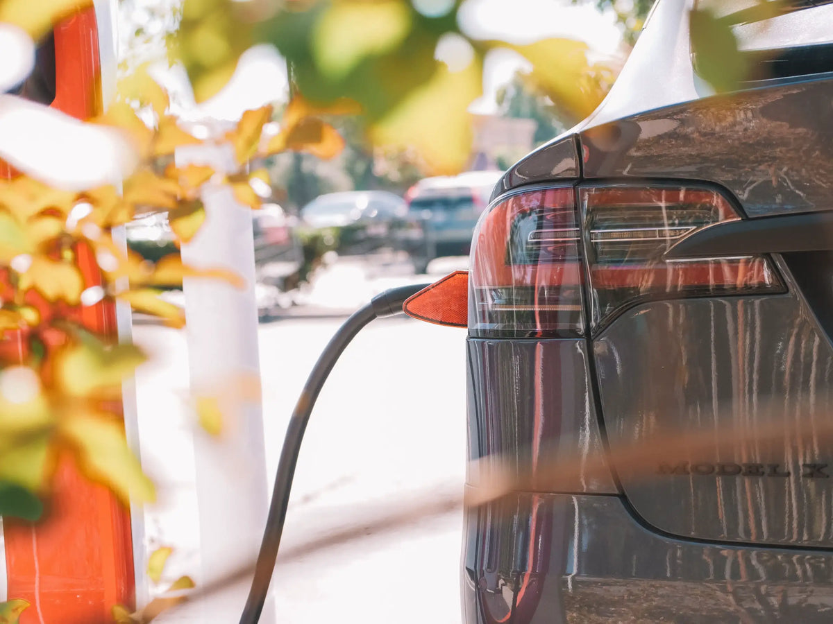 EV Interest in the US Shows a Wider Age Gap