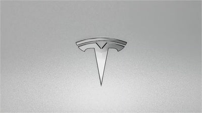 EVDANCE SAE J1772 to Tesla Charging Adapter 80 Amp/ 240V